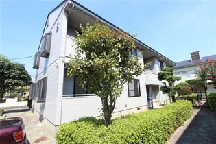 グレインの画像