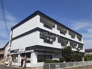 タウニー稲垣の画像