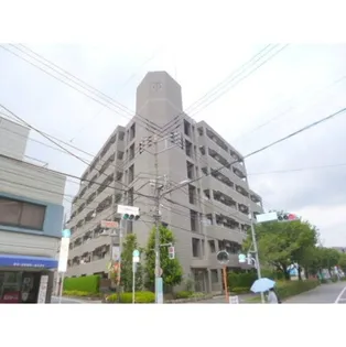 ディフロイデェの画像