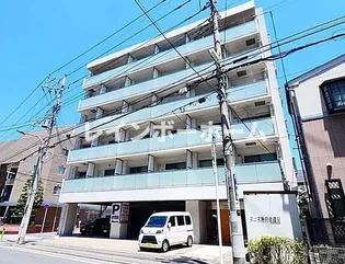 アーク松の木通りの画像