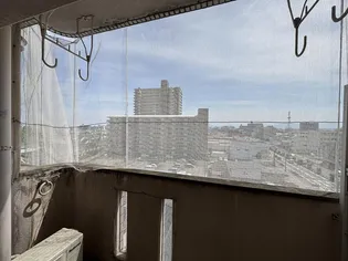 ビッグバーンズマンション サンコート神宮東【6階】のその他画像