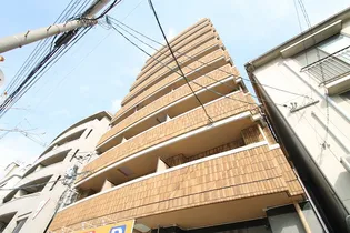 パーク朝日の画像