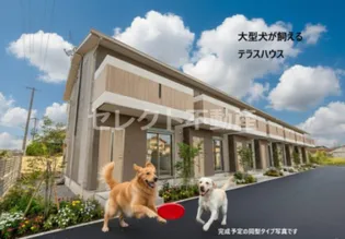 熊本県八代市井揚町【一戸建】の外観