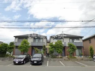 ツイン アイリスの画像