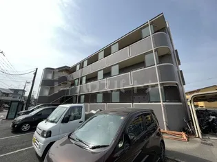 ピアリーさつきの画像