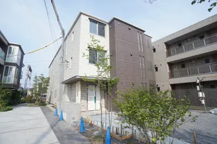 OLD TREE 2NDの画像