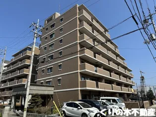 グランドール今治参番館の画像