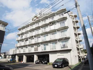 ビューパレー市川【4階】の外観