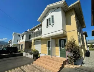 スプリングハーモニーの画像