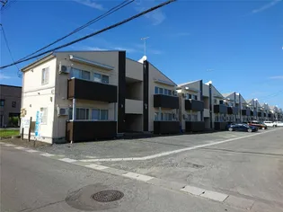 たんぽぽの画像