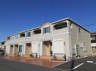 ジーナル5の画像