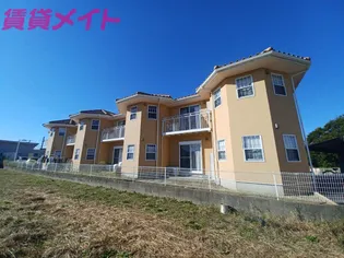 フラットカミーリアの画像