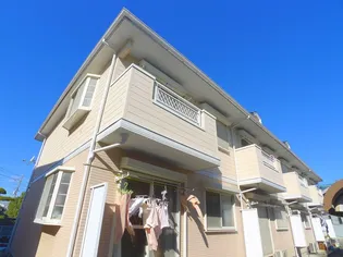 パールコートの画像