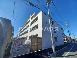 スアヴィス舎人の画像