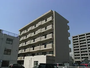 あいびー21の画像