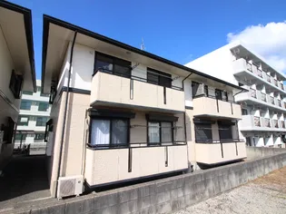 ハイカムールC棟の画像