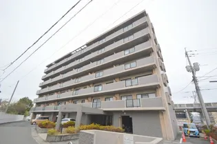 SD清水の画像
