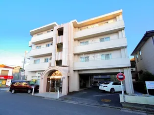 埼玉県富士見市針ケ谷1【マンション】の外観