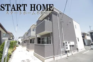 センパフローレンスIの画像