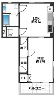 アイランド愛和【4階】の間取り