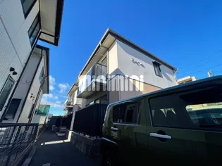 アムールの画像