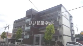 ソフィアライトの画像