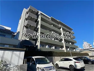 プロスペリテの画像