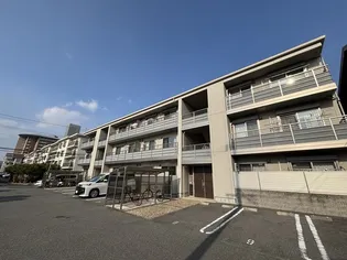 フィエスタの画像
