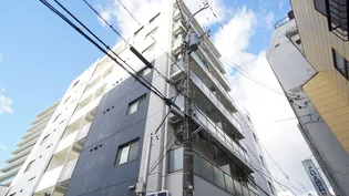 セントアビエスの画像