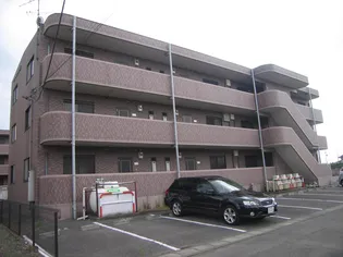 プラージュセイジB棟の画像