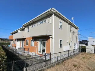 ニューブライトの画像