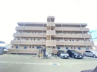 サザンクロスの画像