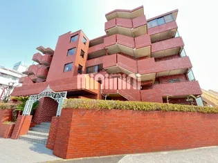 イベットサノの画像