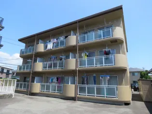 スカイコートエターナルの画像