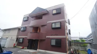 シャルマンの画像