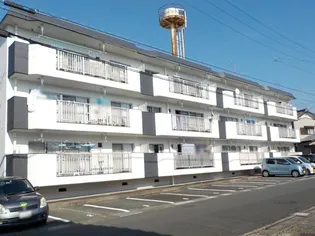 静岡県浜松市中央区初生町【マンション】の外観