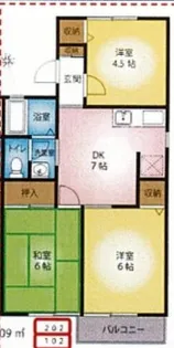 神奈川県平塚市出縄【アパート】の間取り