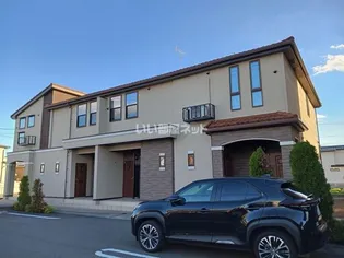 ステラ アイの画像