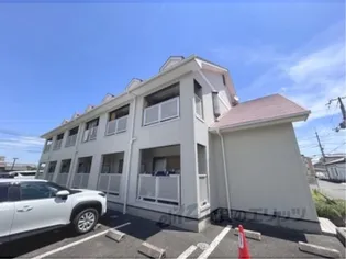 メルシーの画像