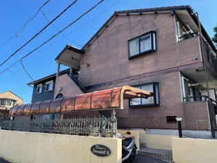 パレドールBの画像