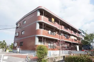 エルフィナ八王寺 C棟の画像