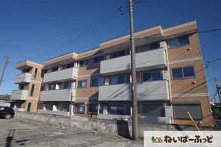 CADENZAの画像