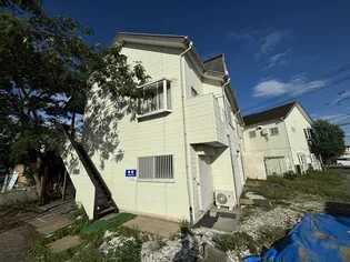 ステラ愛川の画像