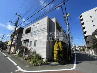 はなみずきの画像