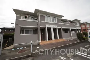 アプリコット サン Aの画像