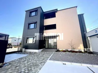 フロントマーレの画像