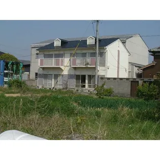 岩田ハイツ【2階】の外観