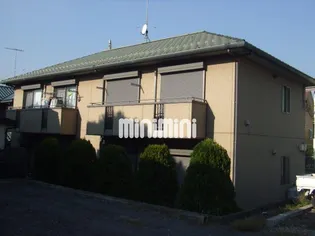 アムールの画像