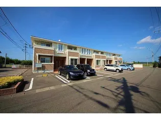 エル カターサBの画像