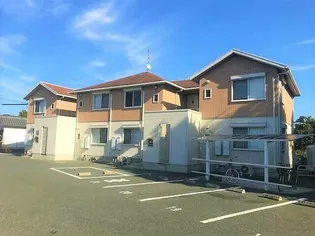 スプリング ローズの画像